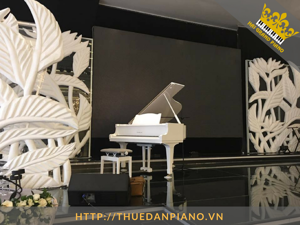 thue-grand-piano-4