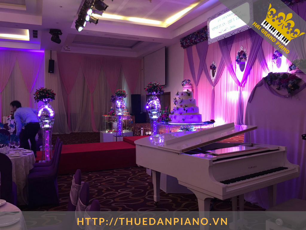 thue-grand-piano-7