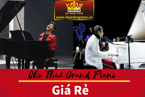giới thiệu cho thuê đàn