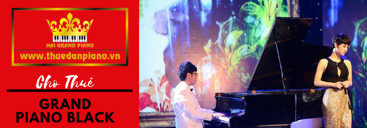 cho thuê đàn grand